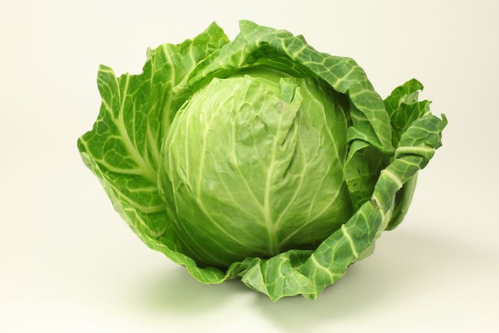 180176732 Cabbage