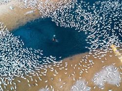 Deretan Foto Keren yang Diambil Pakai Drone