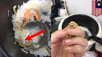 Seorang wanita sedang bersiap memasak nasi namun ketika diaduk, ia mendapati ada seekor cicak yang ikut tercampur dalam makanannya. Cicak yang masih hidup ini pun ditangkap.  instagram