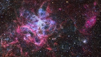 Nebula Tarantula, nebula terbesar. Nebula Tarantula tak sekadar wilayah pembentuk bintang paling aktif di galaksi kita, tetapi juga menjadi Nebula terbesar yang diketahui. Nebula ini membentang lebih dari 1.800 tahun cahaya sepanjang rentang terpanjangnya, berjarak sekitar 170.000 tahun cahaya dari Bumi. Berbasis di Large Magellanic Cloud - galaksi satelit kecil yang mengorbit di Bima Sakti, Tarantula menampung lipatan gas yang indah. Di dalam gas dan debu ini, bintang-bintang muda terus dilahirkan. Foto: via Brainberries
