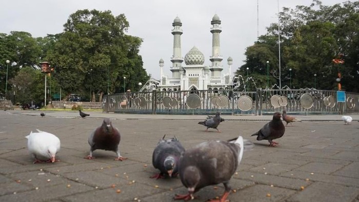Alun-Alun Malang