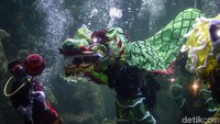 Perayaan Imlek semakin semarak dengan atraksi liong di Sea World Ancol, Jakarta, Senin (20/1/2020). Antara Foto/Dhemas Reviyanto.