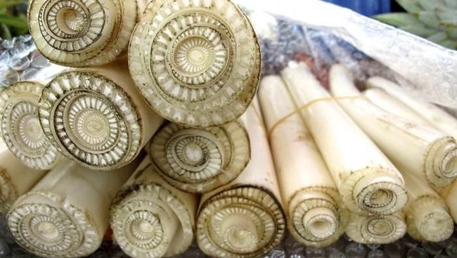 Kakak-Adik Rebutan Ikan Lele dan Fakta Menarik Batang Pisang