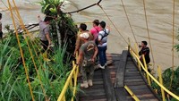 Warga bersama tim gabungan terus melakukan pencarian korban jembatan putus di Desa Bungin Tambun III, Kecamatan Padang Guci Hulu, Kabupaten Kaur, Bengkulu, Senin (20/1/2020).