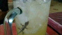 Apes betul orang yang sedang menikmati segelas es jeruk ini. Melihat sekilas memang segar tapi begitu diaduk, ada cicak kecil yang ikut berenang di dalamnya. Foto: instagram