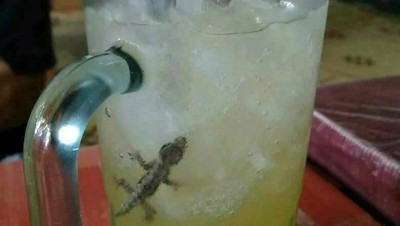 Hii Jijik! Ada Cicak hingga Kunci Rumah di Makanan Ini