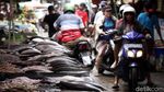 Berburu Ikan Bandeng di Kawasan Pecinan Jakarta