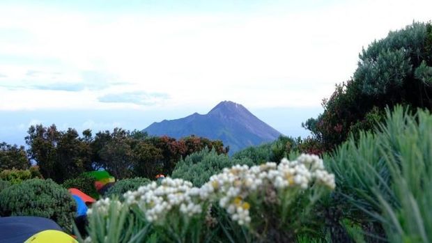 Heboh Foto Borobudur, Ini 6 Gunung di Sekitarnya