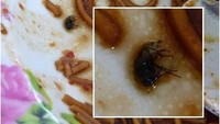 Sepiring mie goreng ini sudah sempat dimakan, tapi setelah di lihat dengan jeli baru kelihatan ada lalat yang ikut jadi lauk makanannya.  Foto: instagram