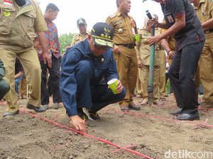 Kunker ke Soppeng, Gubernur Sulsel Tanam Jagung Bibit Indonesia-Jepang