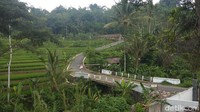 Traveler bisa ke Candi Umbul dari arah Semarang maupun Yogya. Candi ini sendiri berada di perbatasan dengan Kabupaten Temanggung (Eko Susanto/detikcom)