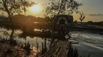 Melihat Lagi Ancaman Abrasi di Utara Bekasi
