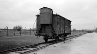 Kamp konsentrasi Auschwitz dilengkapi dengan rel kereta api yang di masa silam digunakan sebagai jalur lintas kereta yang mengangkut ratusan ribu warga Yahudi dari Jerman maupun dari berbagai wilayah lainnya untuk dibawa ke salah satu kamp konsentrasi paling mematikan di dunia tersebut. AP Photo/Markus Schreiber.