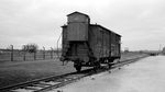 Kamp Auschwitz, Saksi Bisu Kejahatan Kemanusiaan di Era Nazi
