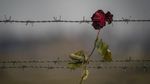 Kamp Auschwitz, Saksi Bisu Kejahatan Kemanusiaan di Era Nazi