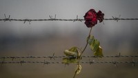 Kamp Auschwitz pun kini menjadi salah satu monumen yang menjadi pengingat agar upaya-upaya pembantaian maupun kejahatan kemanusian yang dahulu pernah dilakukan Nazi tak kembali terulang di masa kini. Getty Images/Christoper Furlong.