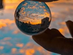 Siapa Sangka Deretan Foto Makro Ini Diambil Pakai Ponsel