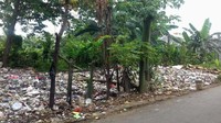 Sementara menurut warga sekitar, RT hingga kelurahan seperti menutup mata dan tidak memberikan solusi atas masalah ini.