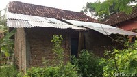 Halaman rumahnya ditumbuhi semak-semak tanaman liar yang tinggi.