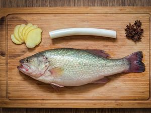 China Kembangkan Kresek dari Sperma Ikan