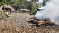 Ritual ini membutuhkan bahan yang tidak sedikit. Pembakaran mayat memerlukan kayu dari beberapa jenis pohon casuarina. (Hari Suroto/Istimewa)