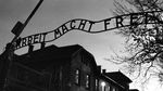 Kamp Auschwitz, Saksi Bisu Kejahatan Kemanusiaan di Era Nazi