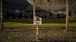 Fakta Sejarah Auschwitz, Simbol Kengerian Era Nazi