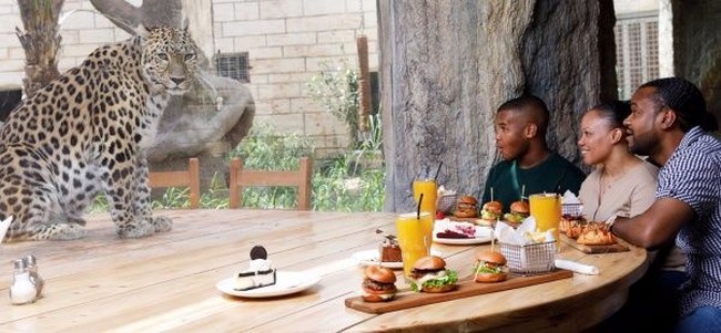 Uji Nyali! Di Sini Bisa Sarapan Bareng Macan hingga Singa