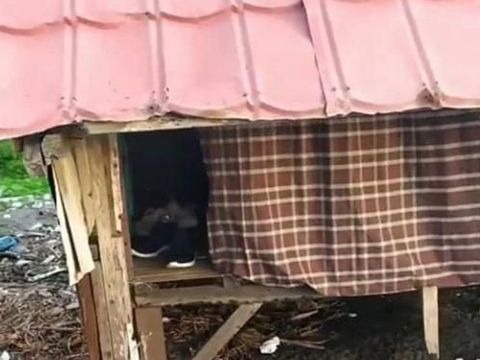 Diduga Jadi Tempat Mesum, Puluhan Gubuk di Pantai Makassar Dibongkar