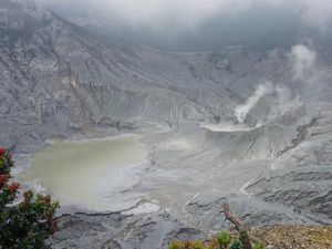 Taman Wisata Alam Gunung Tangkuban Perahu Mulai Dibuka