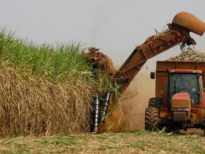 Cegah Konflik Sawit, Malaysia Tambah Impor Gula dari India