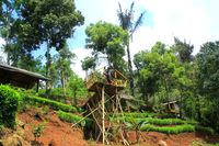 Kawasan di sini sangat asri