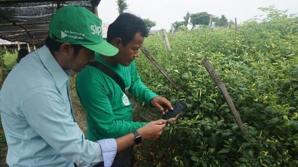 Pemanfaatan Teknologi untuk Pertanian