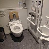 Kamar mandi seperti ini sayangnya belum banyak ada di Indonesia. Alat untuk menggendong bayi ketika ibunya sedang menggunakan toilet. Selain penggendong bayi sementara, kamar mandi pun dibuat lebih besar sehingga lebih nyaman. Foto: Imgur
