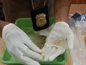 TNI AL Gagalkan Penyelundupan Benur Rp 8 Miliar di Palembang