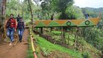 Foto: Kebun Teh nan Instagramable di Sumedang