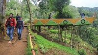 Kebun teh kekinian ini berada di Wisata Disbun, Desa Sukajadi, Kecamatan Wado, Kabupaten Sumedang, Jawa Barat. (Muhamad Rizal/detikcom)