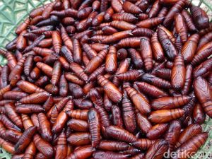 Gurih Banget! Ungker, Makanan Ekstrem dari Blora yang Diburu Orang