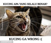 18 Jokes Recehkan Twitter yang Recehnya Bikin Ngakak