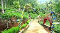 Suasana yang sejuk menjadikan wisata yang baru buka di Sumedang ini selalu ramai wisatawan. (Muhamad Rizal/detikcom)