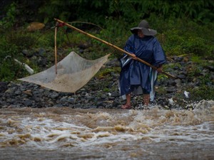 Mencari Ikan di Sungai Meluap