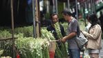 Semerbak Harum Bunga Sedap Malam Jelang Imlek