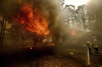 Ilustrasi kebakaran hutan di Australia