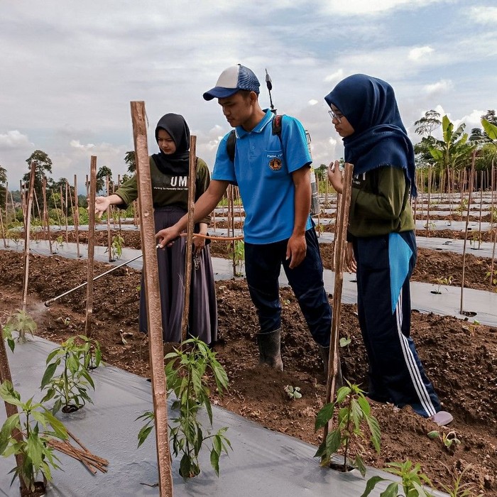 Mahasiswa gelar sosialisasi membuat pestisida organik bagi warga di Boyolali. Kegiatan itu dilakukan guna bantu warga atasi hama tanaman dengan biaya yang murah