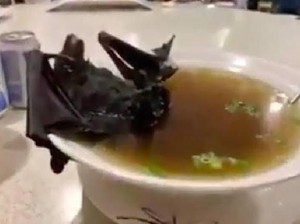 Video: Benarkah Sup Kelelawar Sumber Virus Corona? Ini Kata Pakar