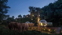 Kamarnya berbentuk gelembung transparan yang disebut jungle bubbles. Menginap di sini akan buat pengunjung berada di dalam hutan. (Anantara Golden Triangle Elephant Camp & Resort)