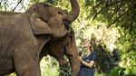 Potret Penginapan bareng Gajah
