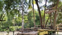 Wisata ini menyuguhkan sejumlah spot foto menarik dengan pemandangan kebun yang indah, seperti berbentuk sangkar burung, bangku diatas pohon bambu, hingga jembatan akat.  (Dadang Hermansyah /detikcom)