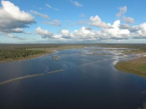 Kebakaran Hutan Ungkap Sistem Akuakultur Kuno Australia