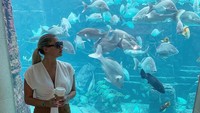 Soal liburan, Luce sudah pernah menyambangi berbagai destinasi top dunia. Salah satunya restoran bawah laut indah di Bahama (Instagram/@lucenicholson)